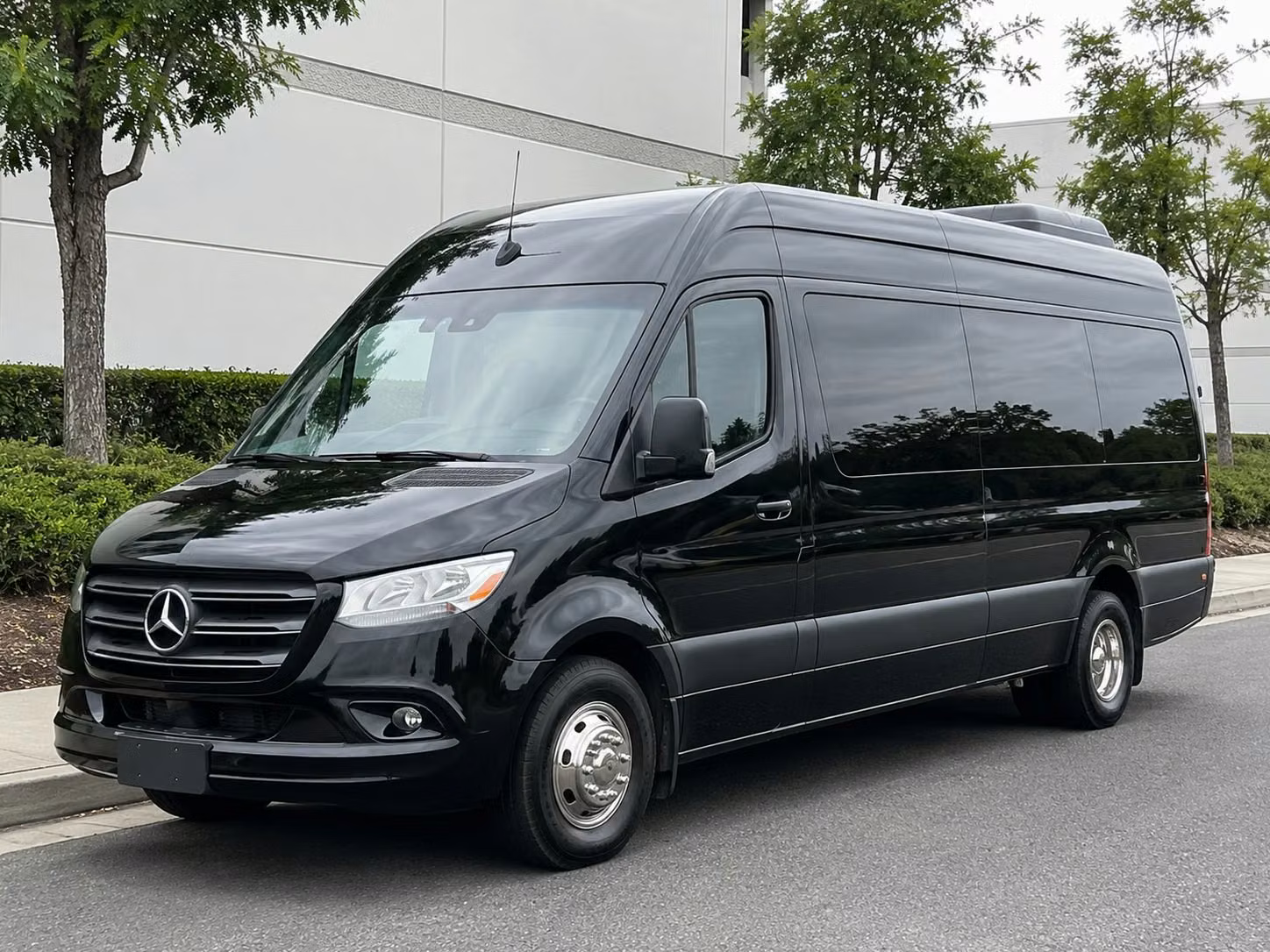 sprinter van with driver
